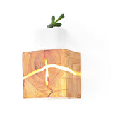 Cracked Wood Grain Design Wall Sconce Li002143
