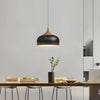 Dome Pendant Light With Wood Detail Modern 1 Light Island Fixture