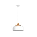 Dome Pendant Light With Wood Detail Modern 1 Light Island Fixture