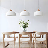 Dome Pendant Light With Wood Detail Modern 1 Light Island Fixture