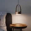 Led Creative Nordic Pendant Lamp Ha089350
