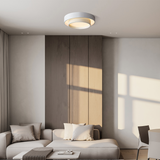 Flint Disc Modern LED Ceiling Lamp – Minimalist Flush Mount Lighting