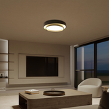 Flint Disc Modern LED Ceiling Lamp – Minimalist Flush Mount Lighting