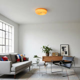 Halcyon Modern Bauhaus Glass Ceiling Lamp | Minimalist Round Light