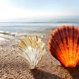 Luis Shell Wall Light - Elegant Coastal Sconce for Bedroom & Living Room