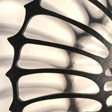Aegir Nautilus Decorative LED Wall Lamp - Modern Luxury Spiral Sconce