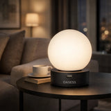 Orange OASESS Sphere USB Table Lamp